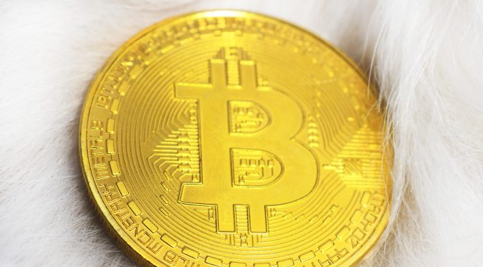 Bitcoin Kembali Pecahkan Rekor picture