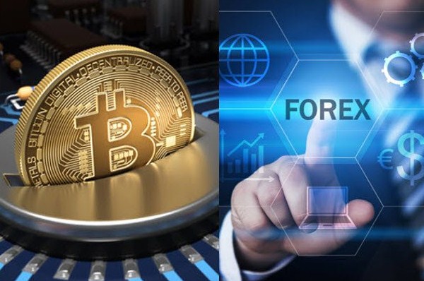 perbedaan trading kripto dan forex