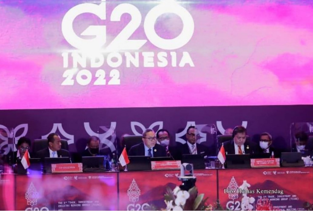 TIIMM G20