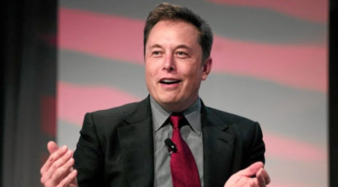 Elon Musk Pinjol